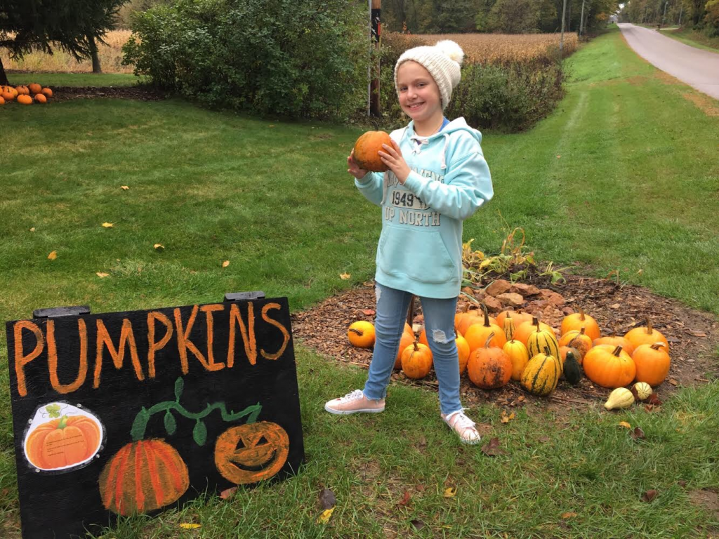 Pumpkin Fundraising by Jenna J.